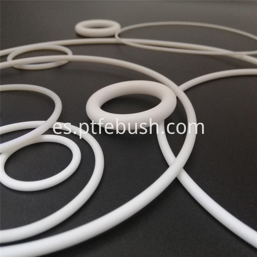 Ptfe O Ring 20